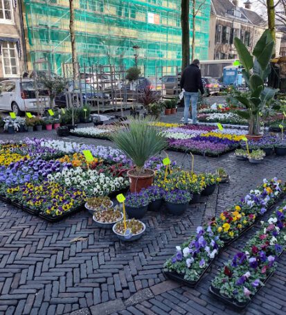 Bloemenmarkt