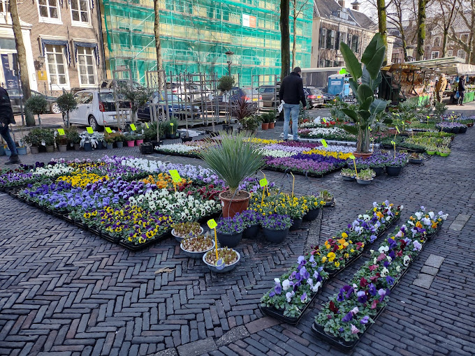 Bloemenmarkt