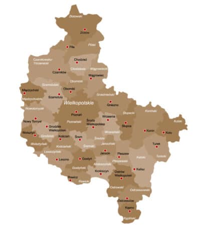 Busy do Holandii z województwa Wielkopolskiego